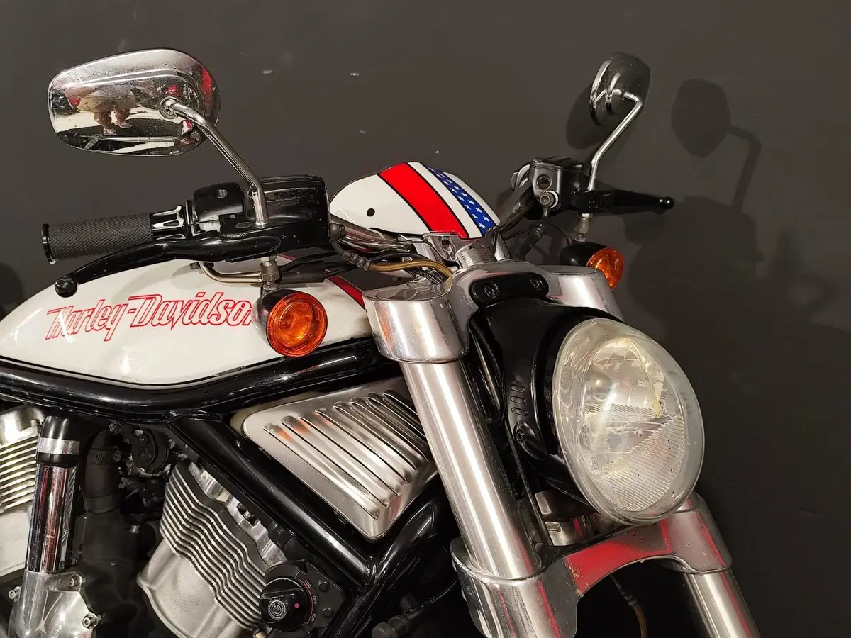 Harley-Davidson 1130 Street Rod (2006 - 07) - VRSCR (9)