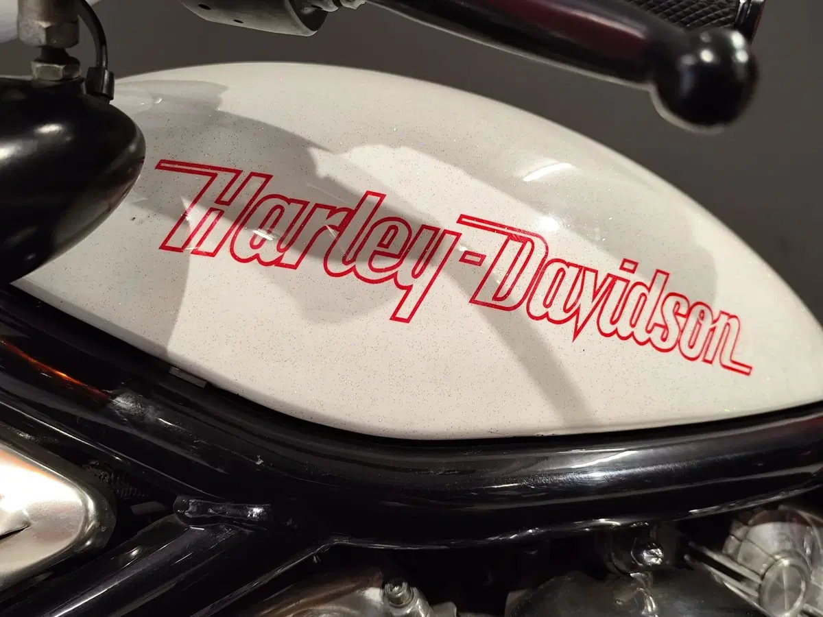 Harley-Davidson 1130 Street Rod (2006 - 07) - VRSCR (12)