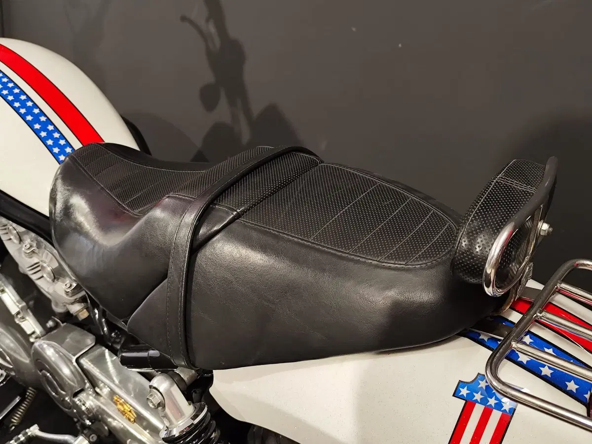 Harley-Davidson 1130 Street Rod (2006 - 07) - VRSCR (15)