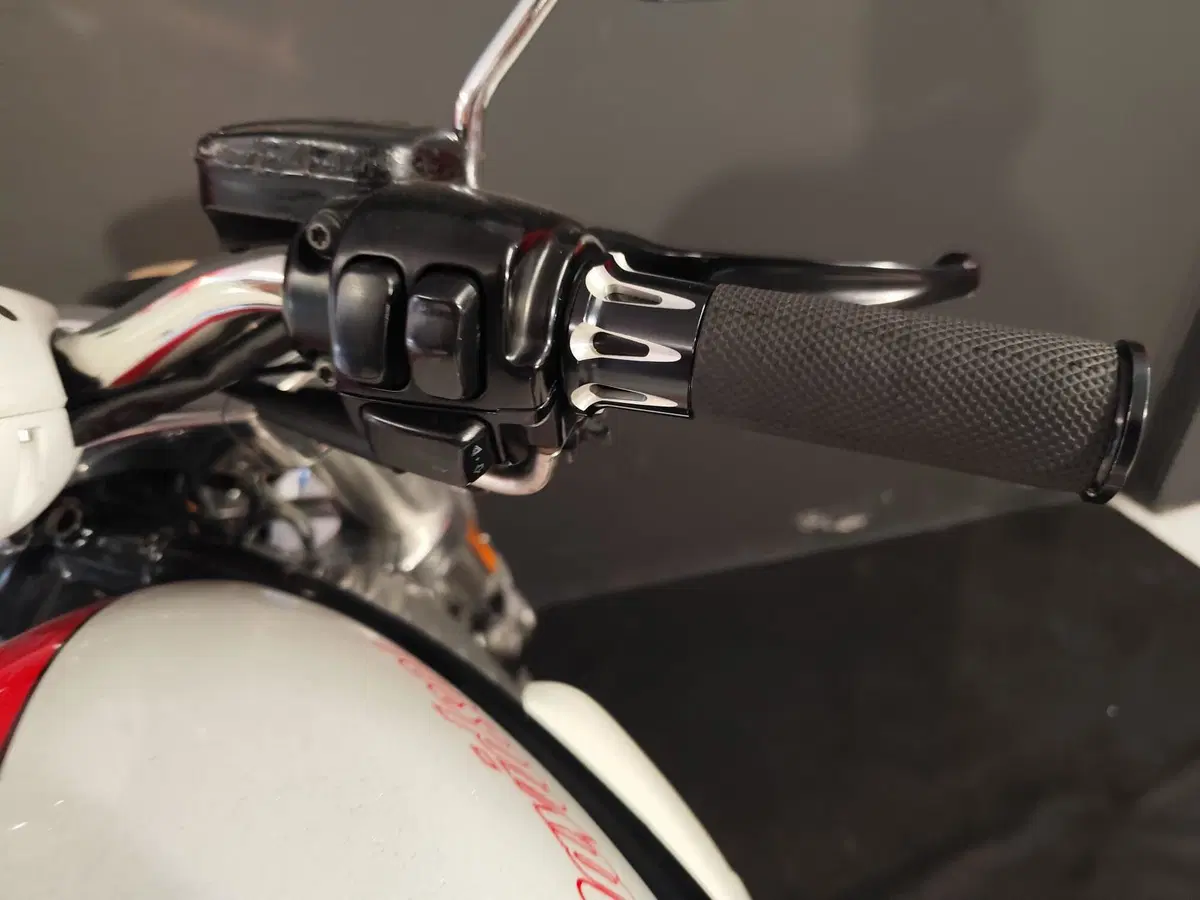 Harley-Davidson 1130 Street Rod (2006 - 07) - VRSCR (16)