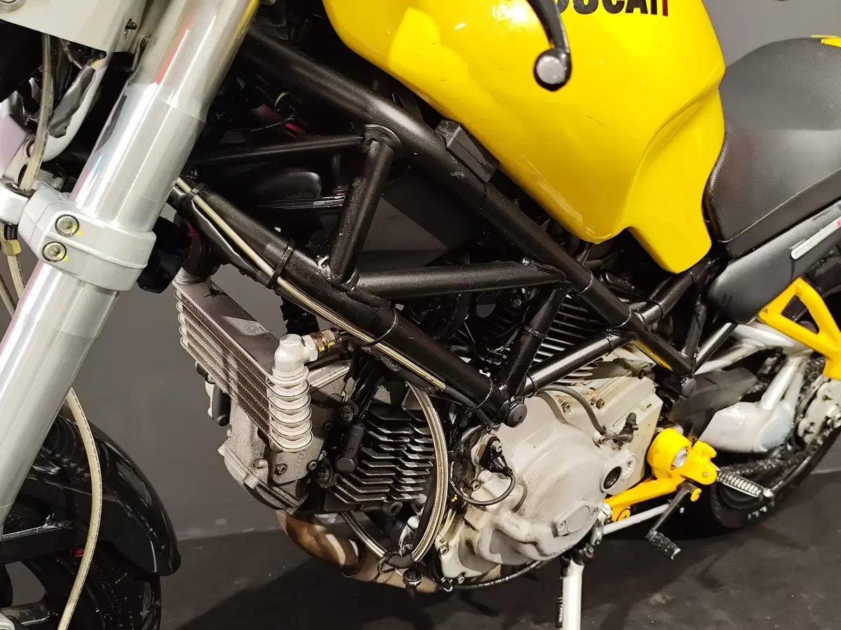 Ducati Monster S2 R (2004 - 07) (17)