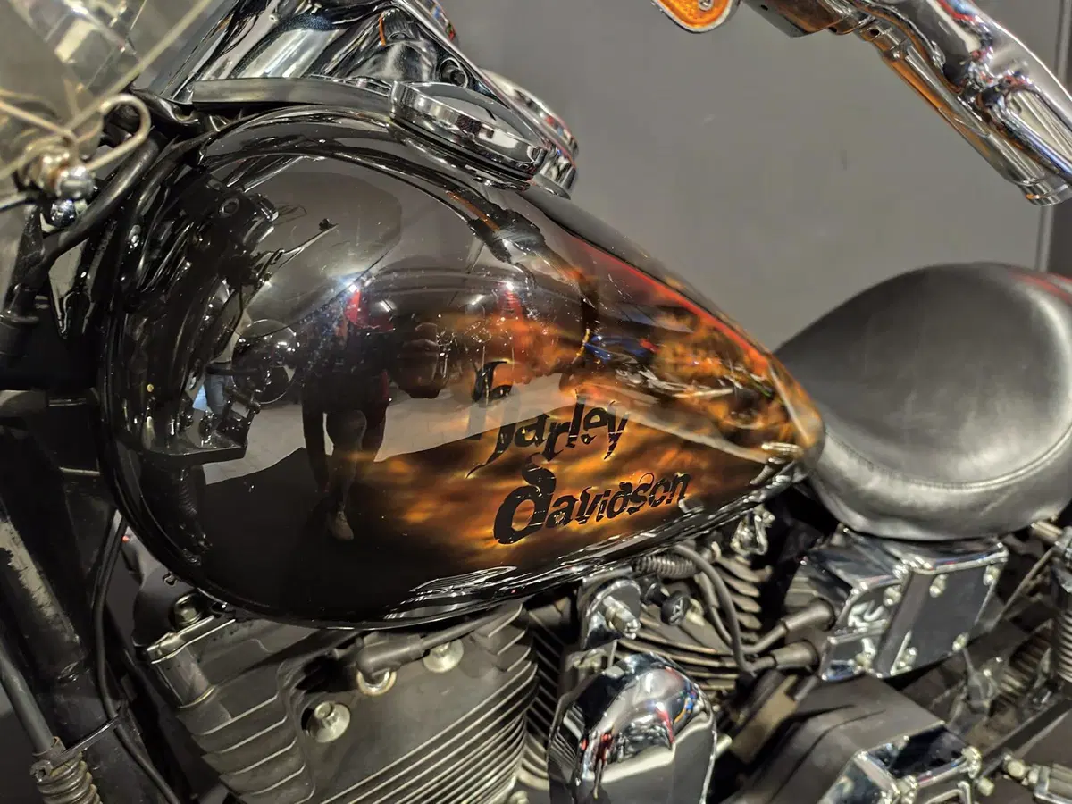 Harley-Davidson 1450 Low Rider (1999 - 03) - FXDL (13)
