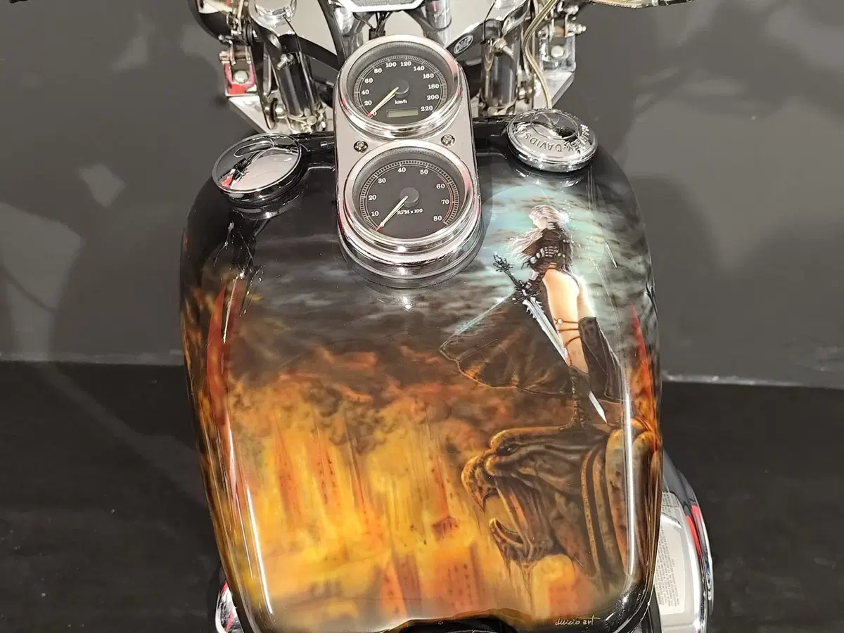 Harley-Davidson 1450 Low Rider (1999 - 03) - FXDL (14)