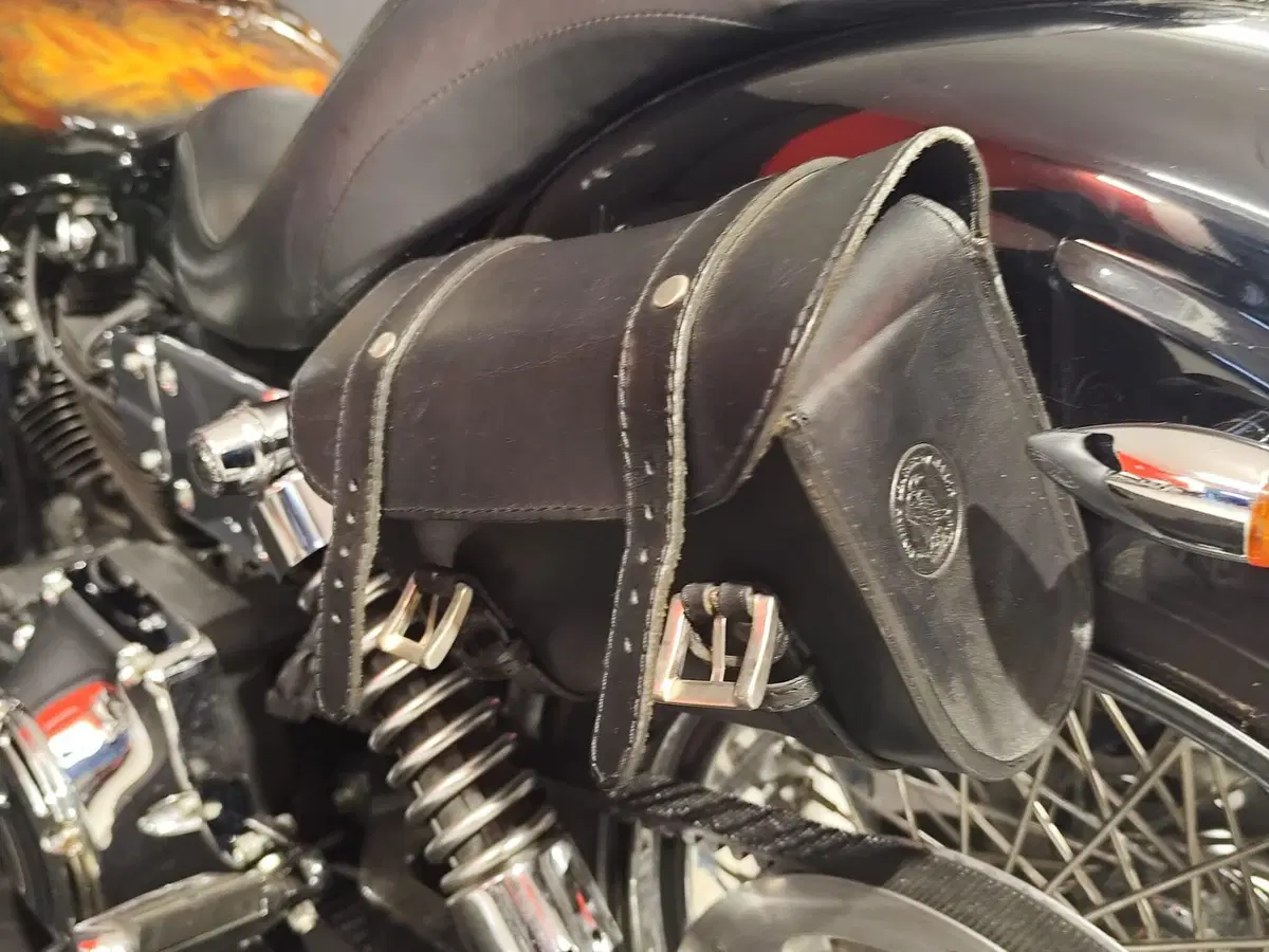 Harley-Davidson 1450 Low Rider (1999 - 03) - FXDL (16)