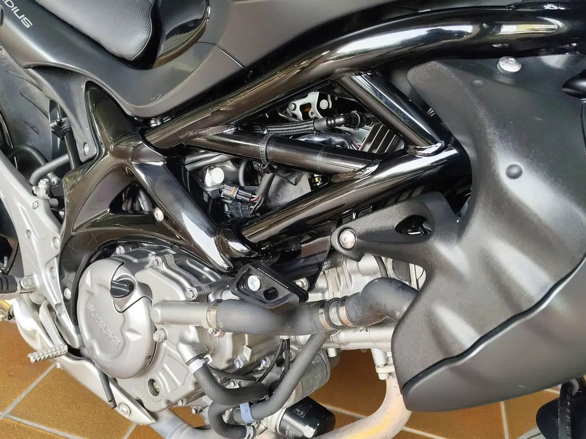 Suzuki Gladius 650 SFV (2009 - 15) (20)
