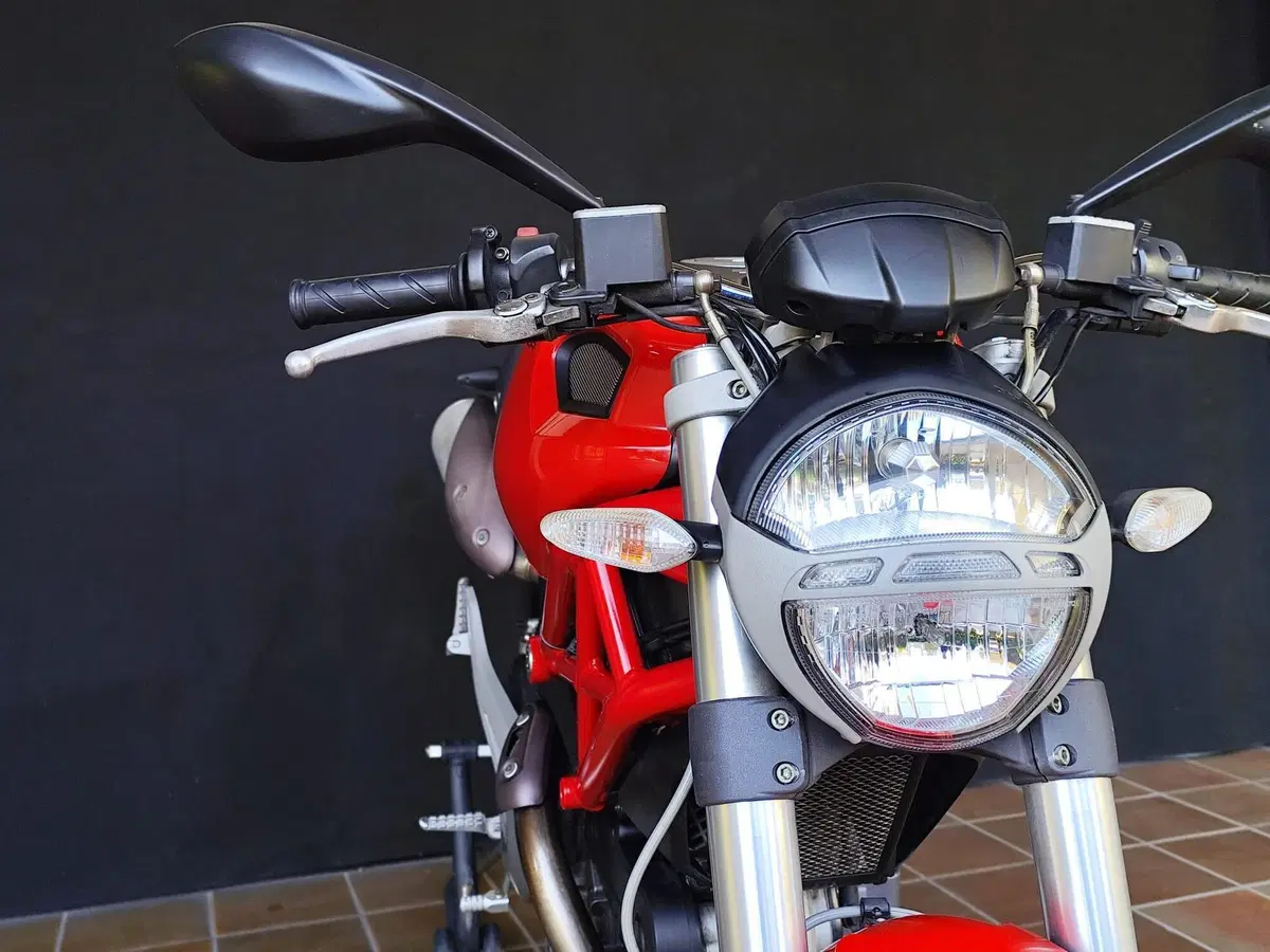 Ducati Monster 696 (2008 - 13) (12)