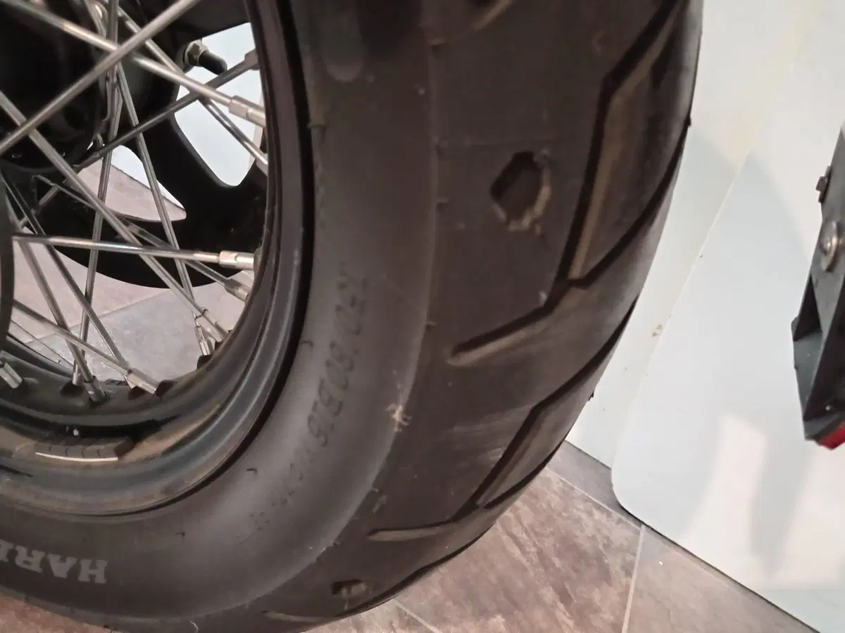 Harley-Davidson XL 1200N Nightster (2008 - 12) (6)