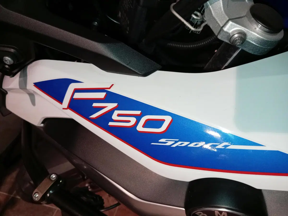 Bmw F 750 GS (2021 - 24) (9)