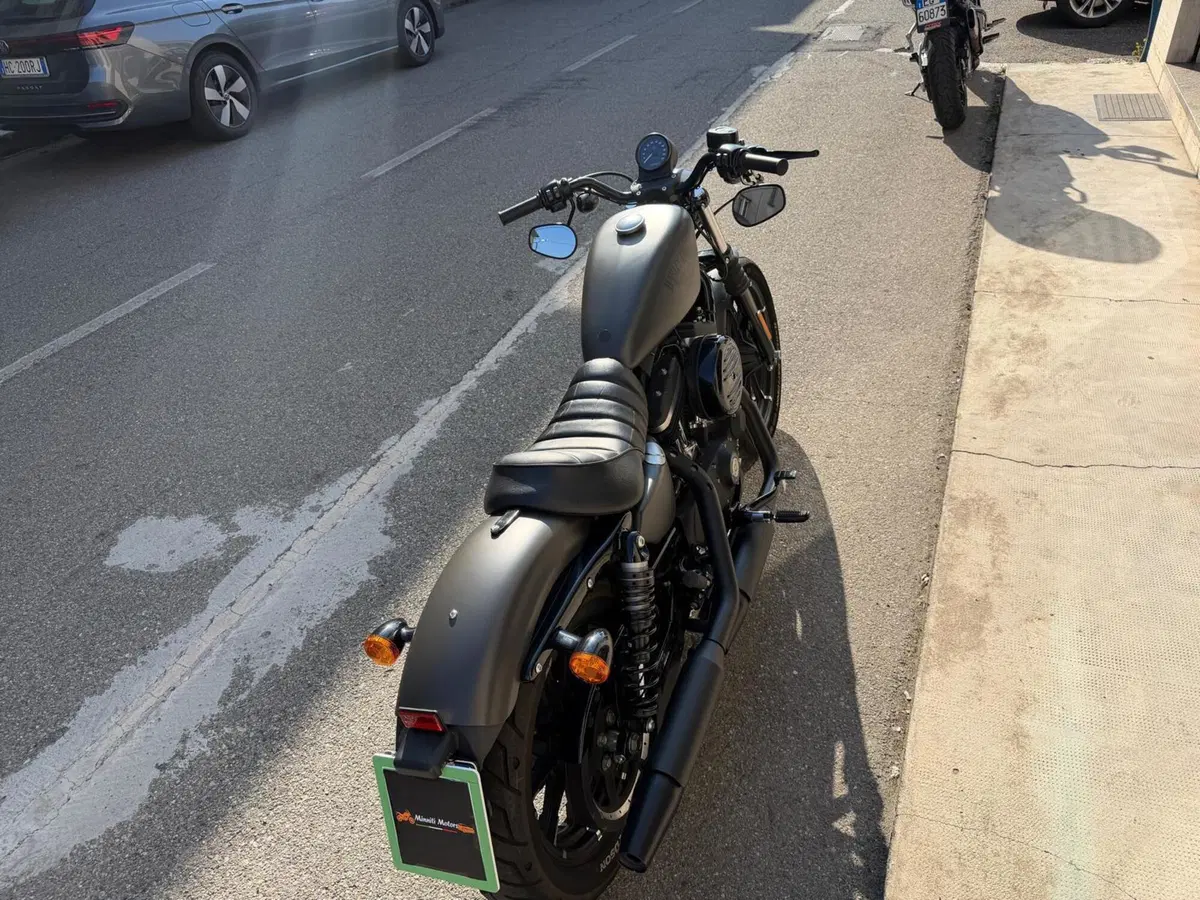 Harley-Davidson 883 Iron (2017 - 20) - XL 883N (8)