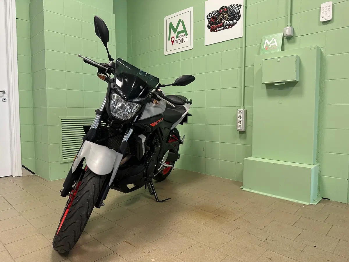 Yamaha MT-03 (2018 - 19) (6)