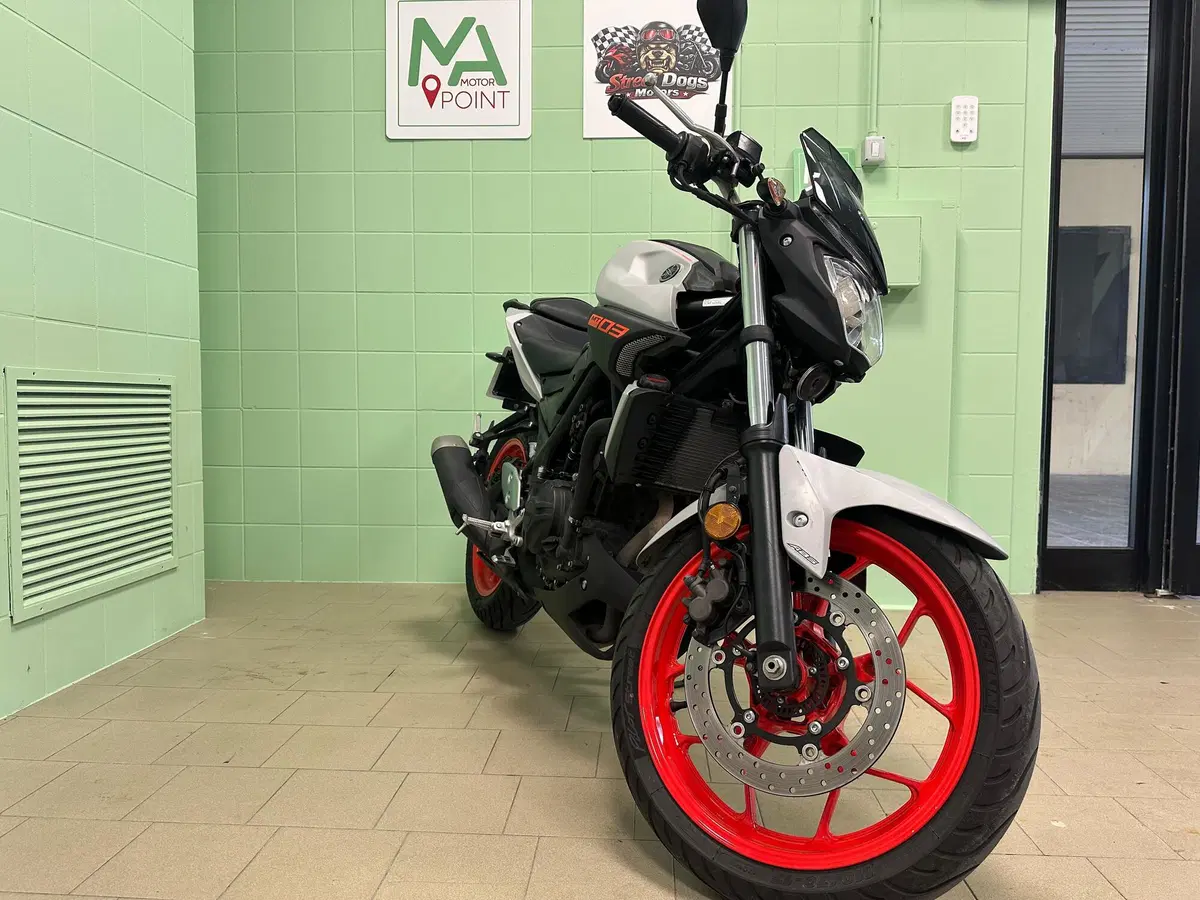 Yamaha MT-03 (2018 - 19) (8)