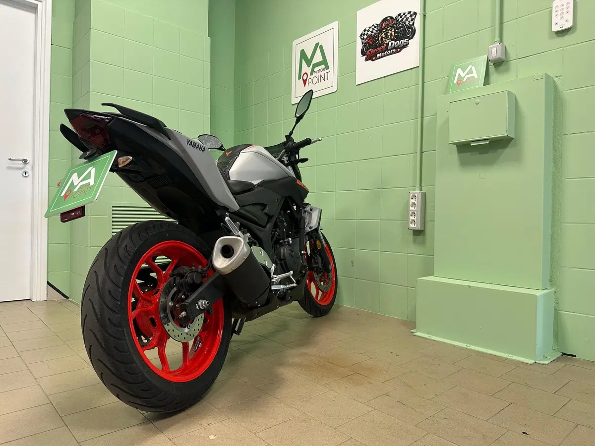 Yamaha MT-03 (2018 - 19) (11)