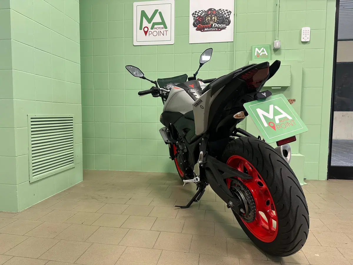 Yamaha MT-03 (2018 - 19) (12)
