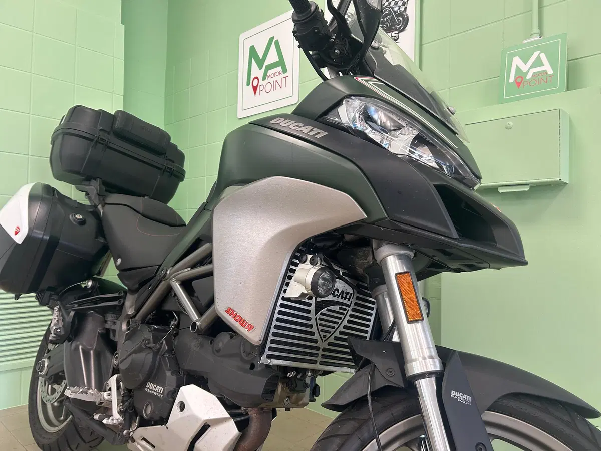 Ducati Multistrada 950 (2018) (12)