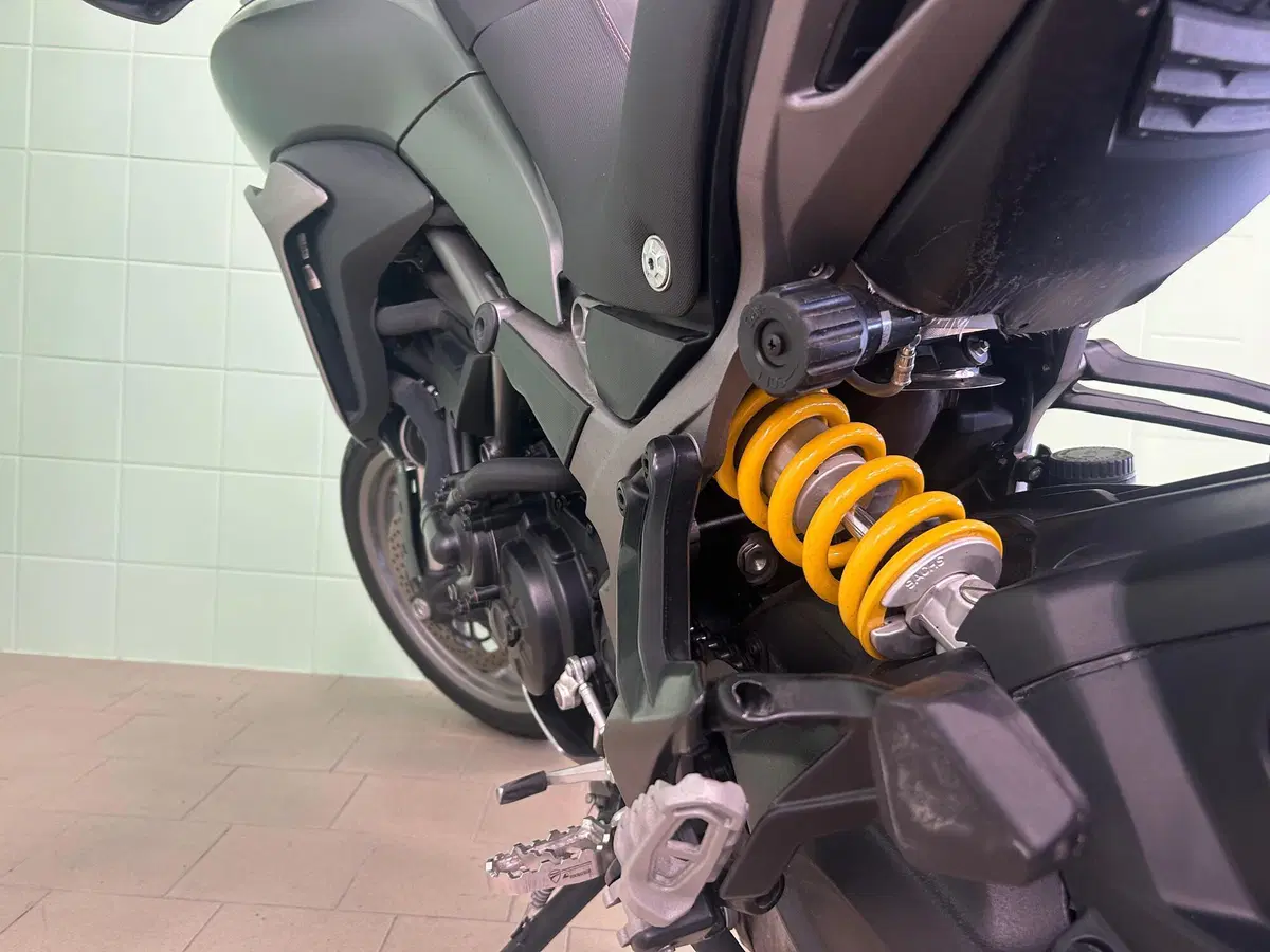 Ducati Multistrada 950 (2018) (16)