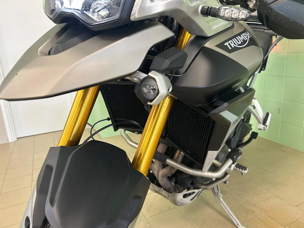 Triumph Tiger 900 Rally Pro (2020 - 23) (10)