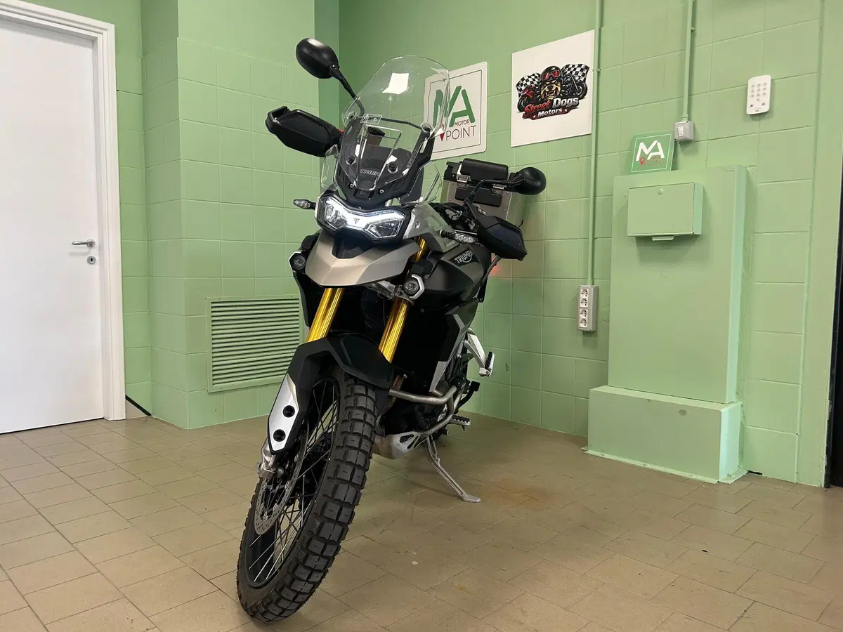Triumph Tiger 900 Rally Pro (2020 - 23) (11)