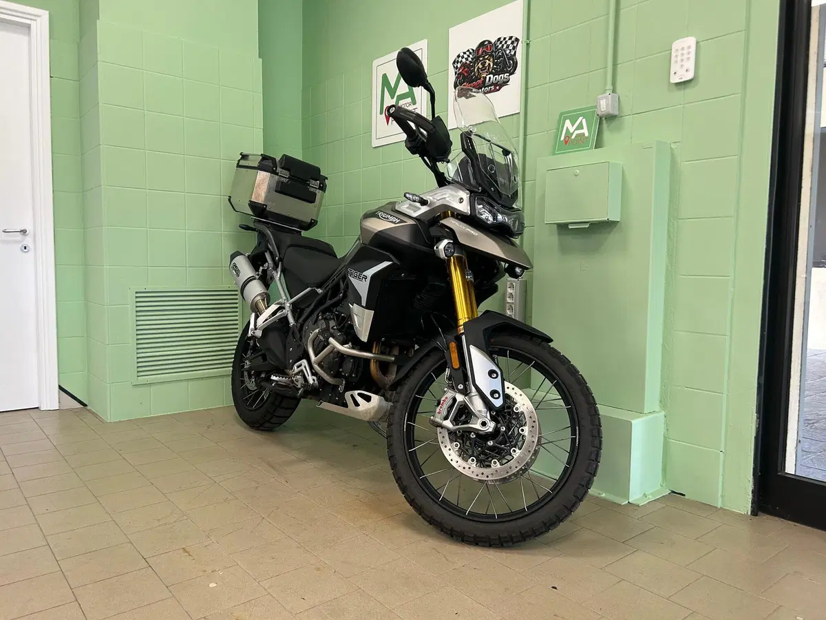 Triumph Tiger 900 Rally Pro (2020 - 23) (12)