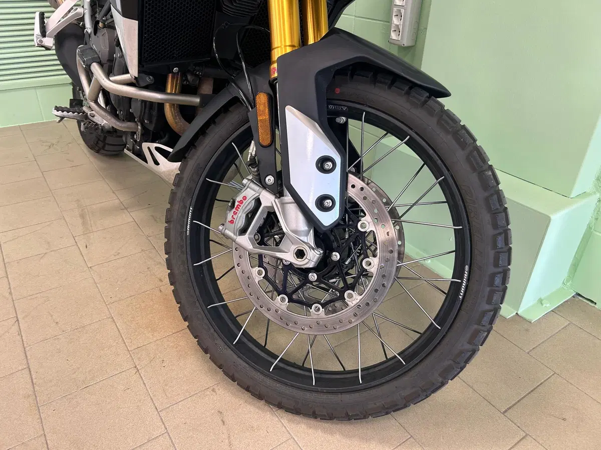 Triumph Tiger 900 Rally Pro (2020 - 23) (13)