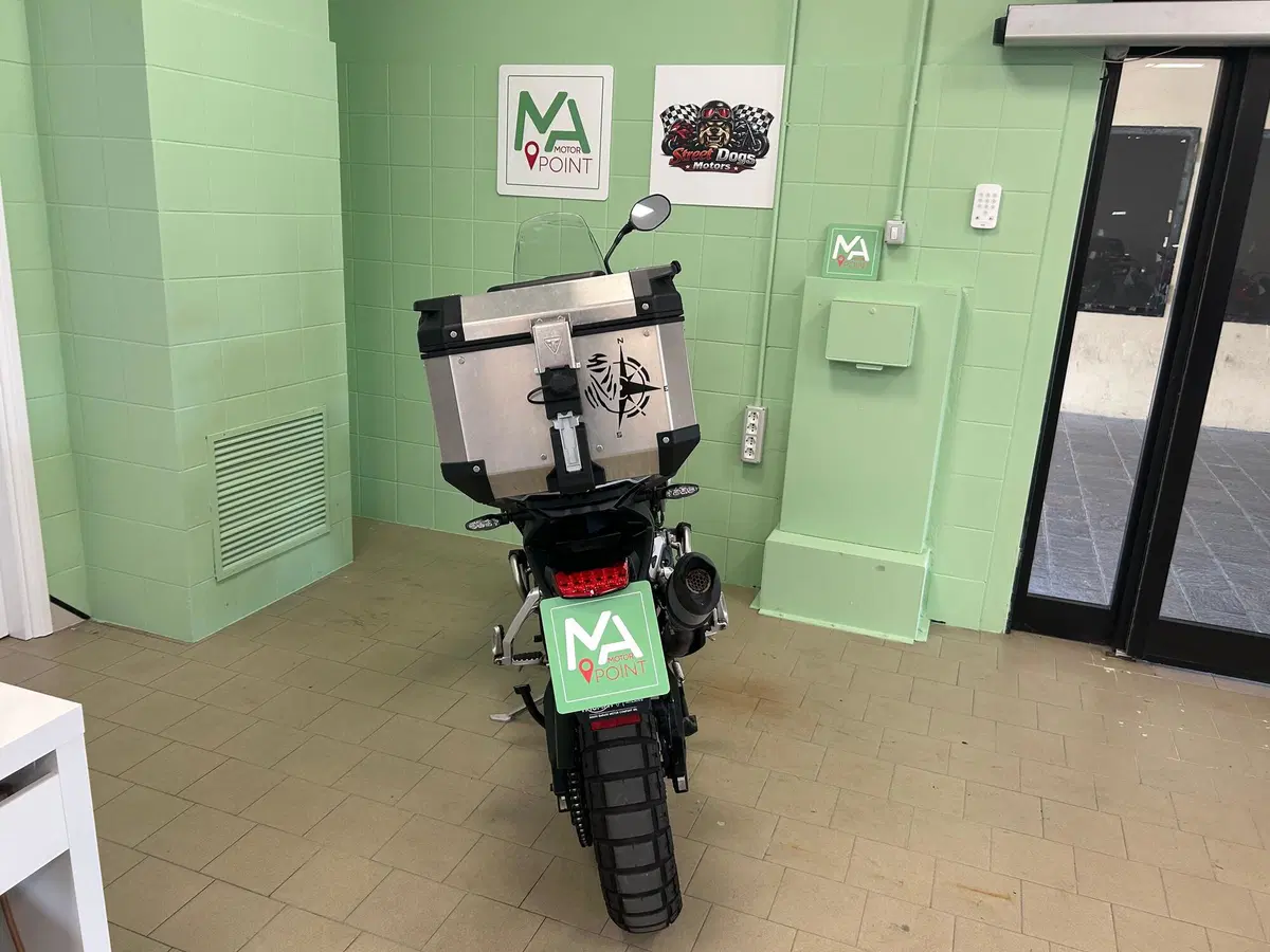 Triumph Tiger 900 Rally Pro (2020 - 23) (16)