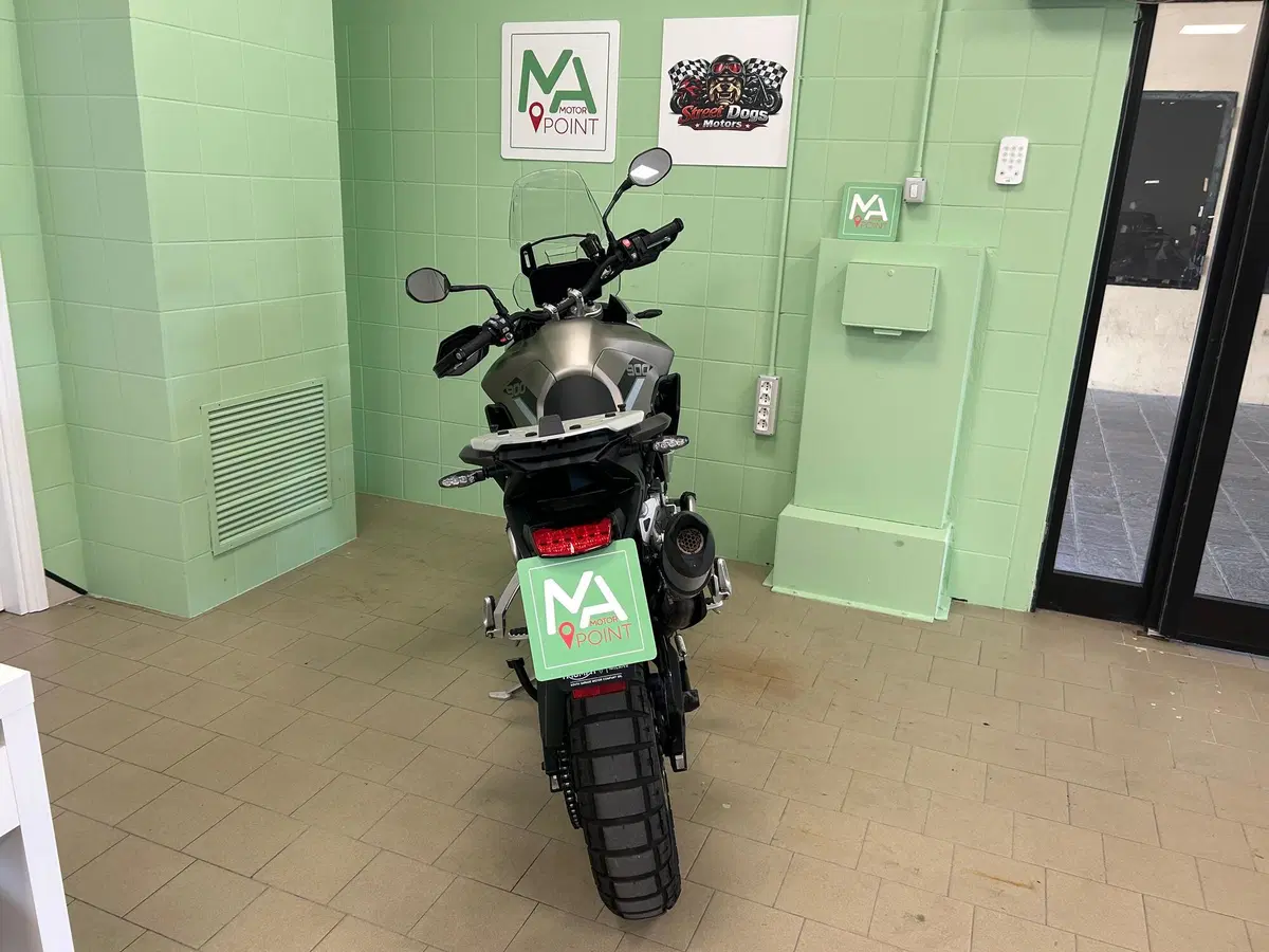 Triumph Tiger 900 Rally Pro (2020 - 23) (17)