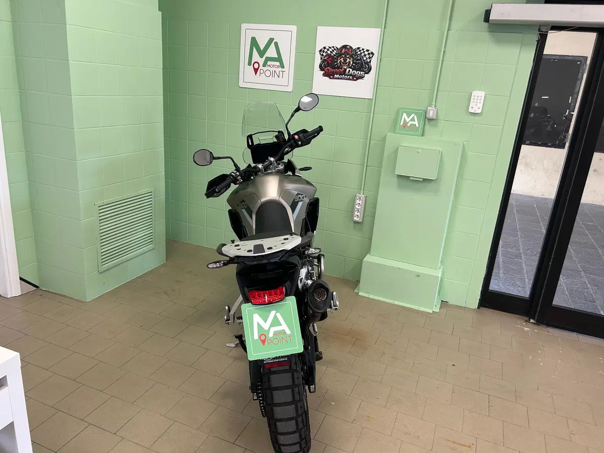 Triumph Tiger 900 Rally Pro (2020 - 23) (18)
