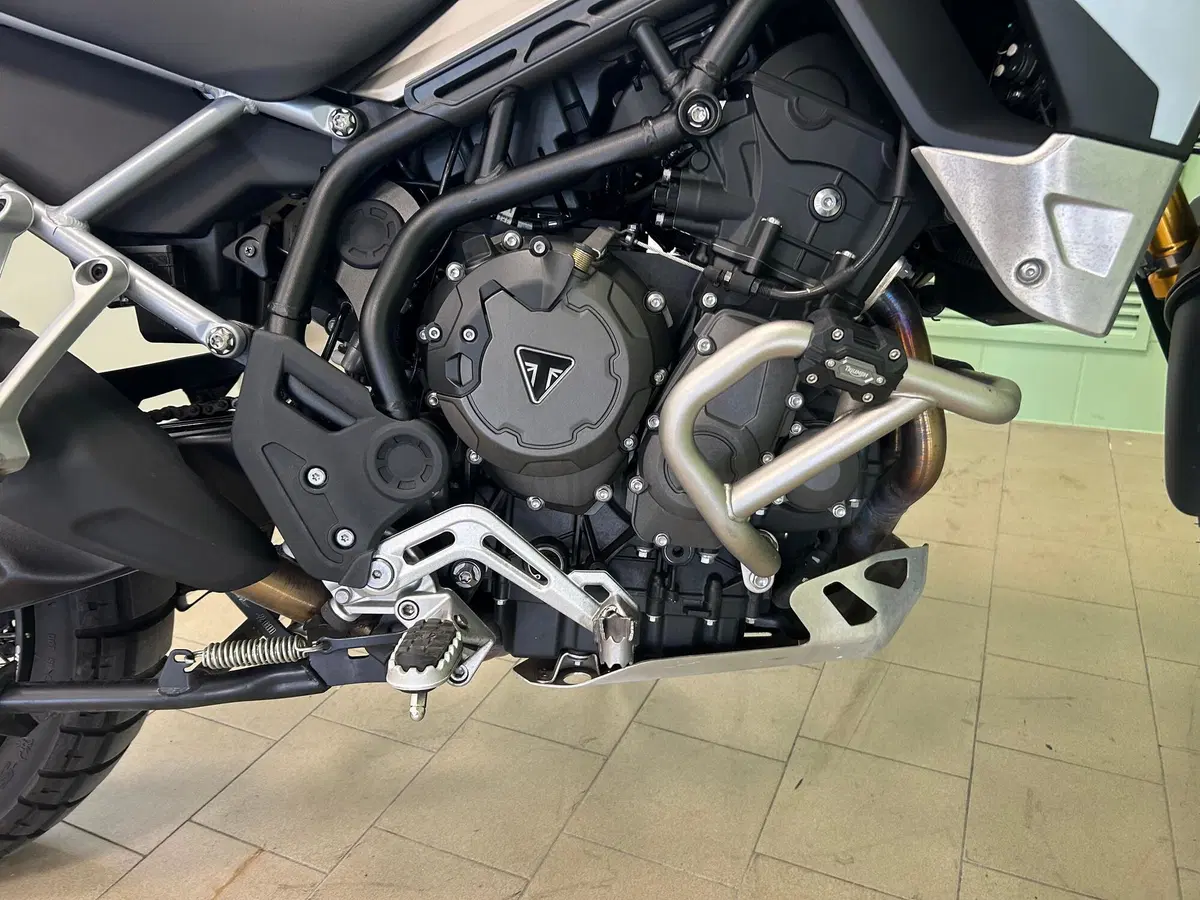 Triumph Tiger 900 Rally Pro (2020 - 23) (20)