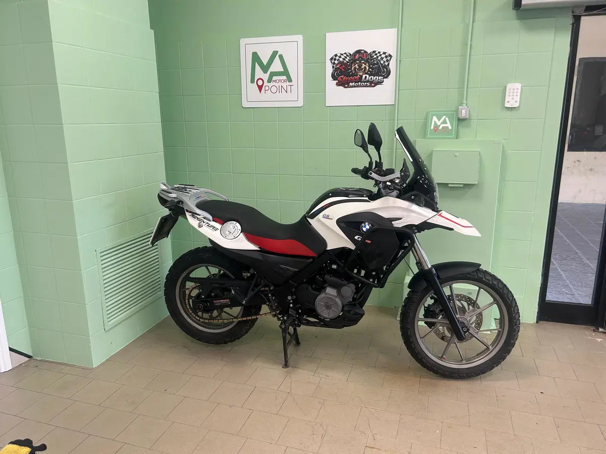 Bmw G 650 GS (2010 - 16) (12)
