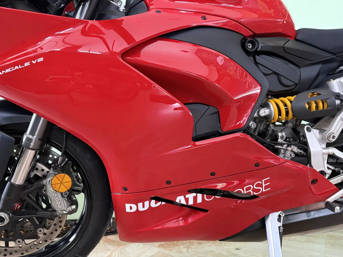 Ducati Panigale V2 955 (2020) (15)
