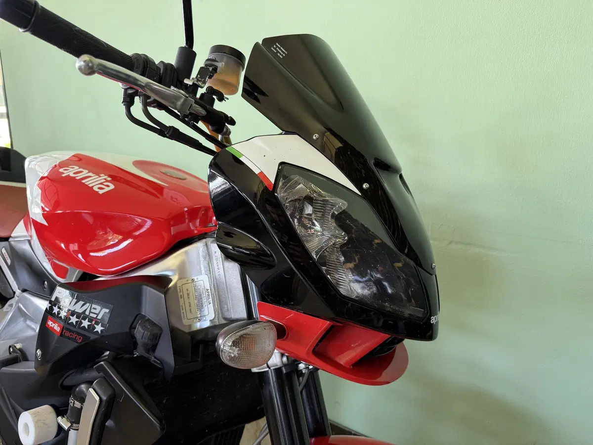 Aprilia Tuono 1000 R (2006 - 10) (15)