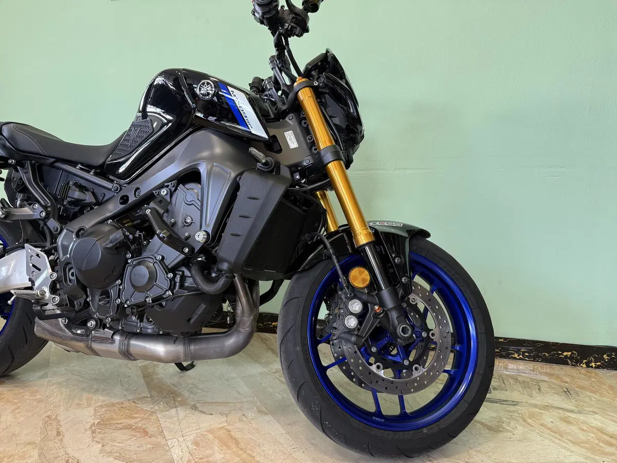 Yamaha MT-09 SP (2021 - 23) (6)