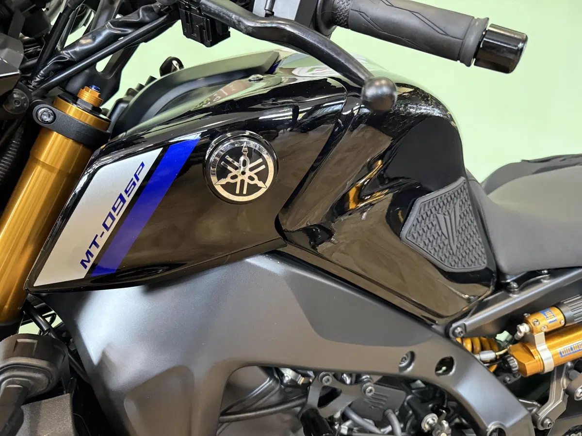 Yamaha MT-09 SP (2021 - 23) (15)