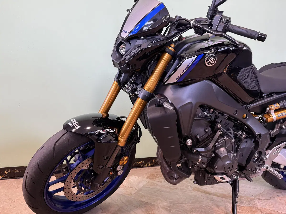 Yamaha MT-09 SP (2021 - 23) (16)