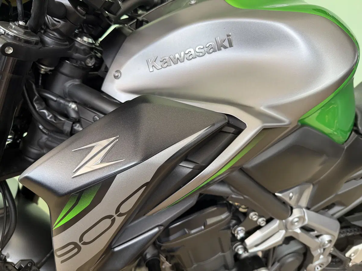 Kawasaki Z 900 (2019) (10)