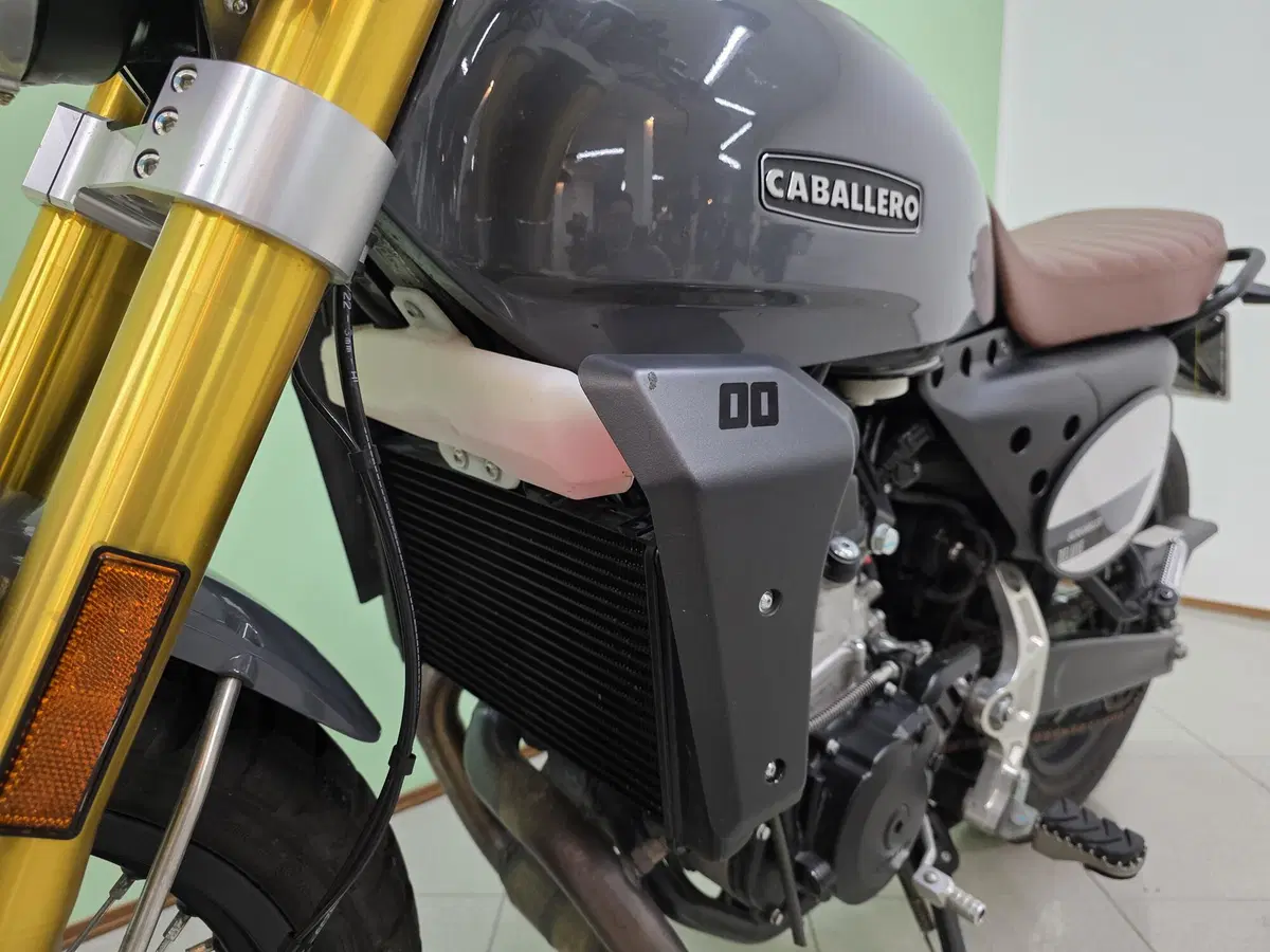 Fantic Motor Caballero 500 Scrambler (2021 - 23) (12)