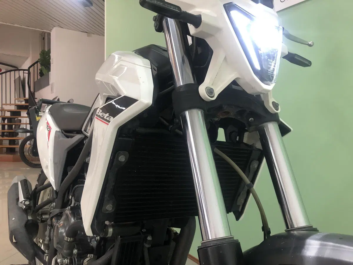 Betamotor Alp 4.0 (2024 - 26) (8)