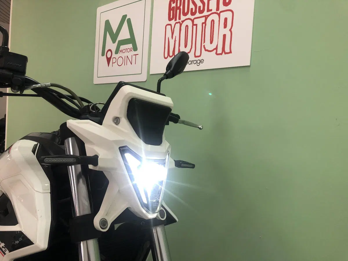 Betamotor Alp 4.0 (2024 - 26) (9)