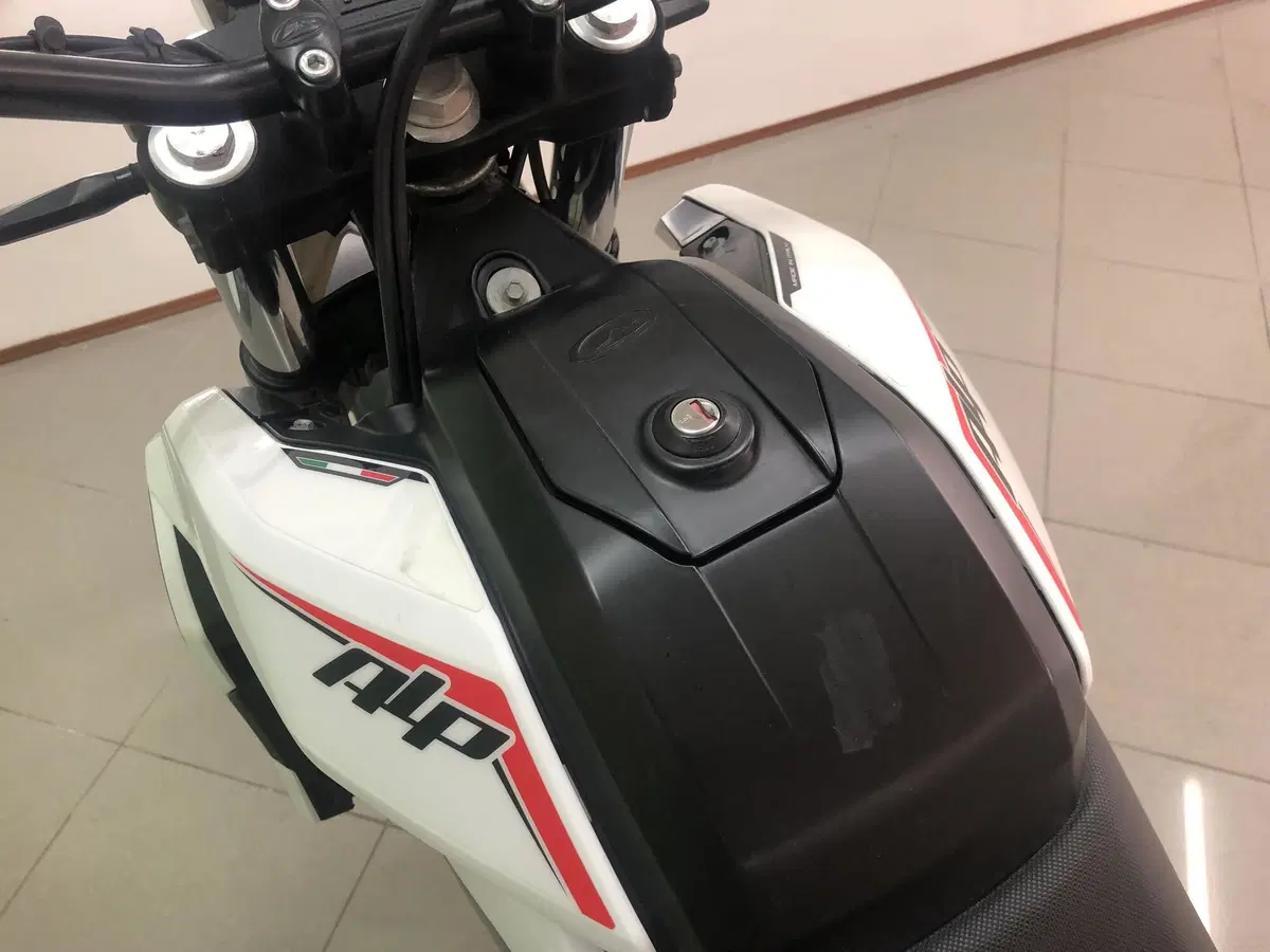 Betamotor Alp 4.0 (2024 - 26) (10)