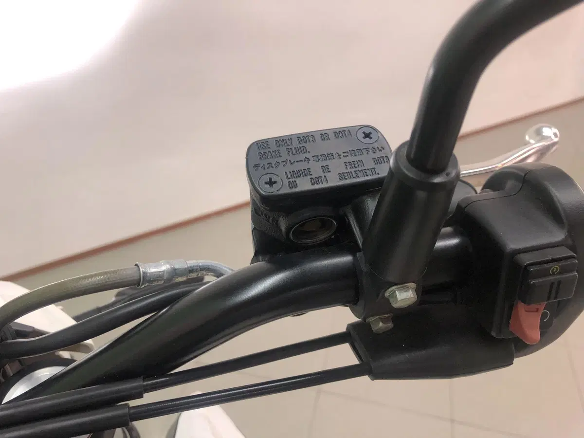 Betamotor Alp 4.0 (2024 - 26) (11)