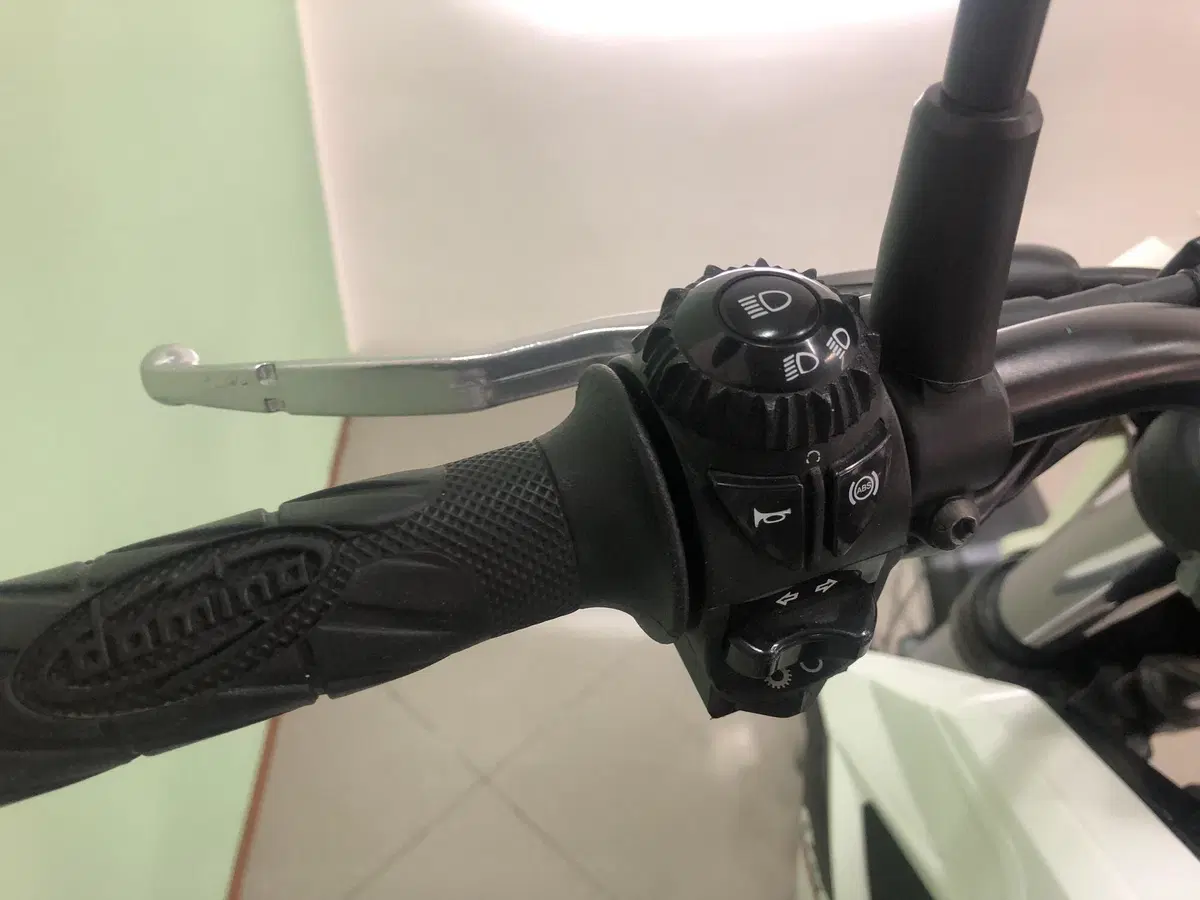 Betamotor Alp 4.0 (2024 - 26) (12)