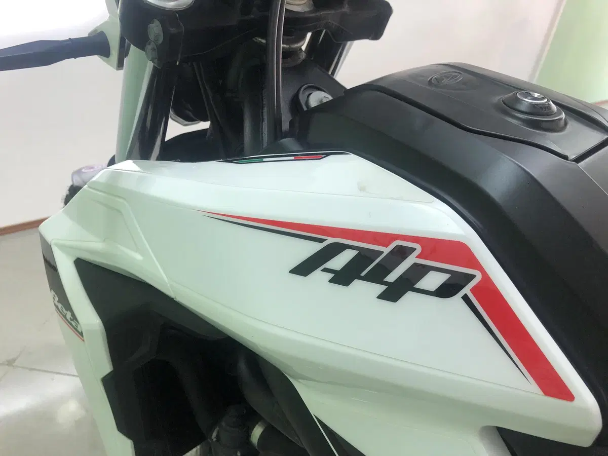 Betamotor Alp 4.0 (2024 - 26) (13)