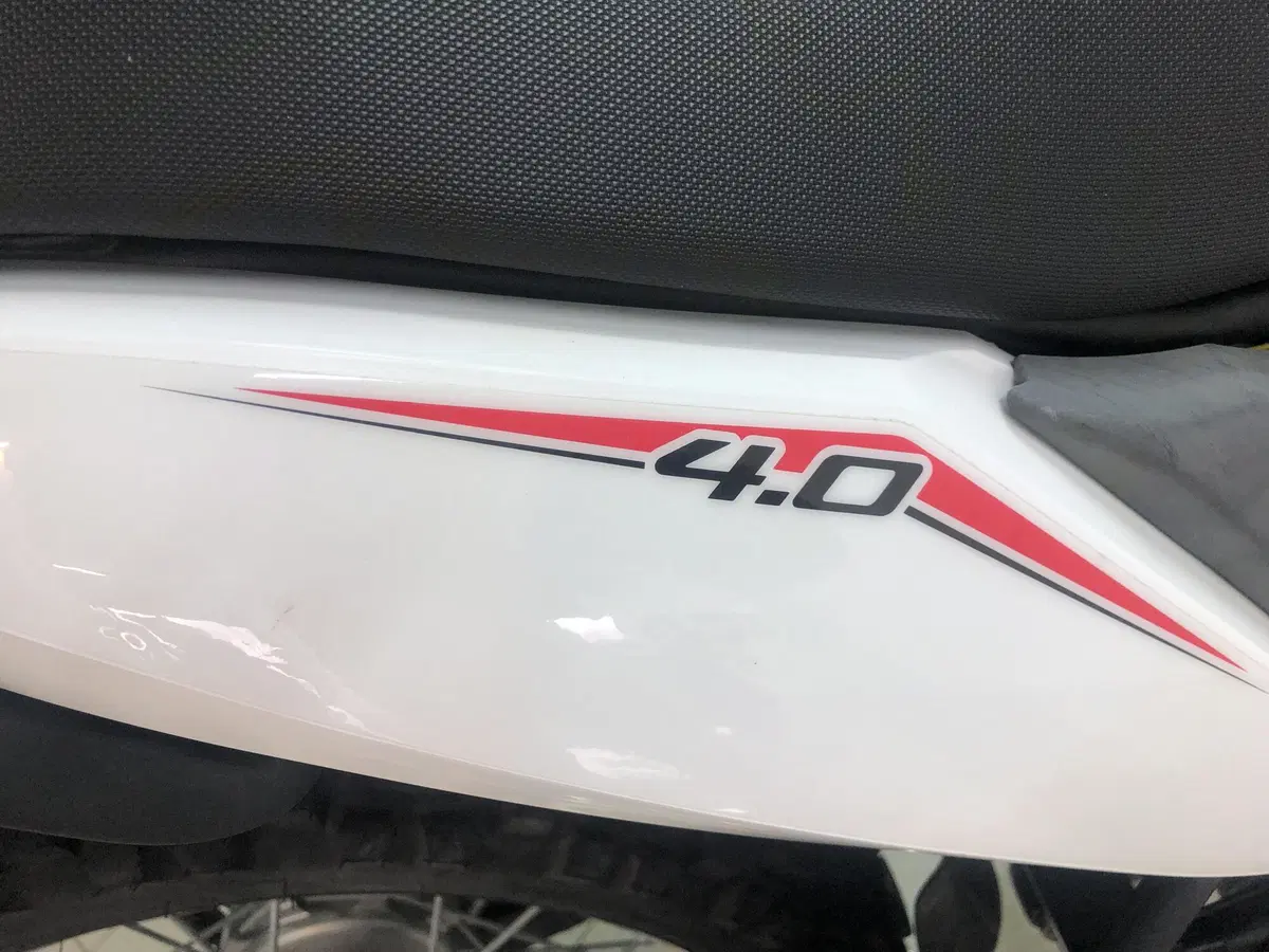 Betamotor Alp 4.0 (2024 - 26) (17)