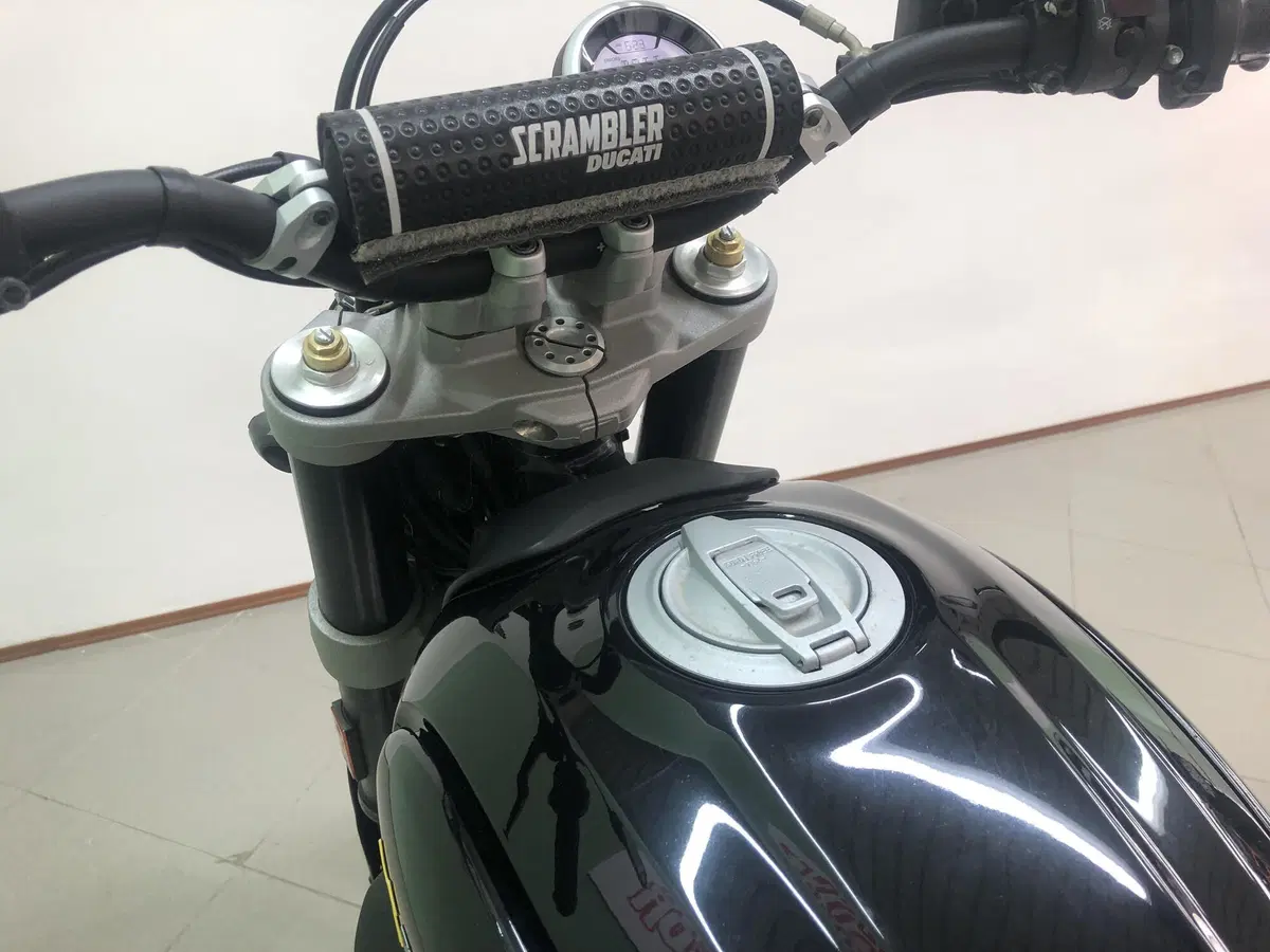 Ducati Scrambler 800 Desert Sled (2017 - 20) (13)