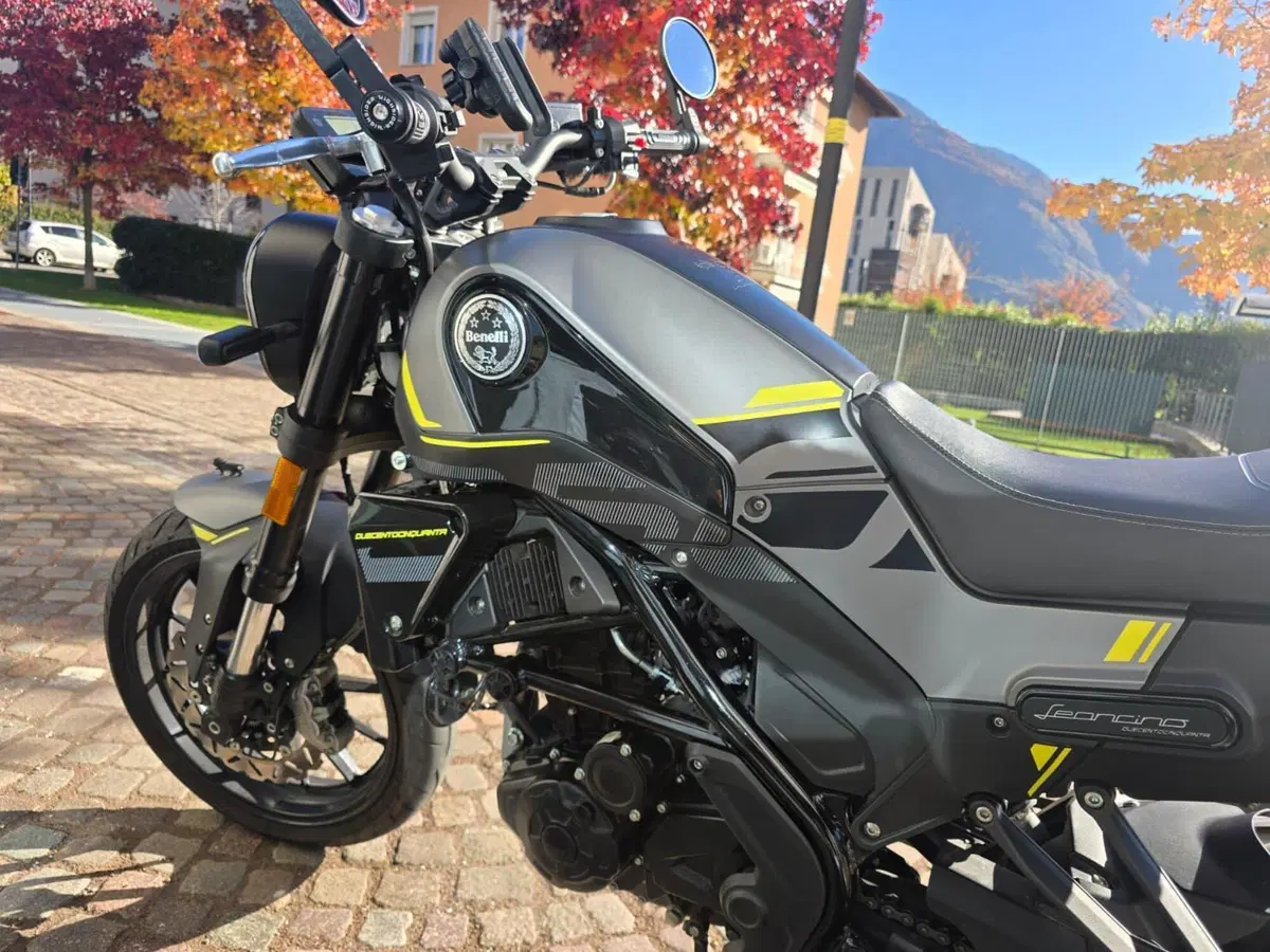 Benelli Leoncino 250 (2021 - 25) (7)