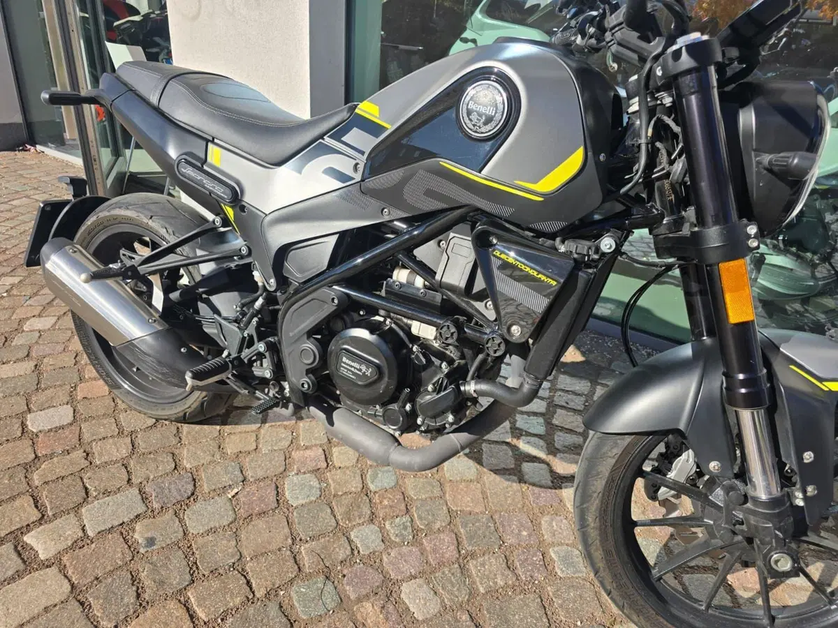 Benelli Leoncino 250 (2021 - 25) (8)