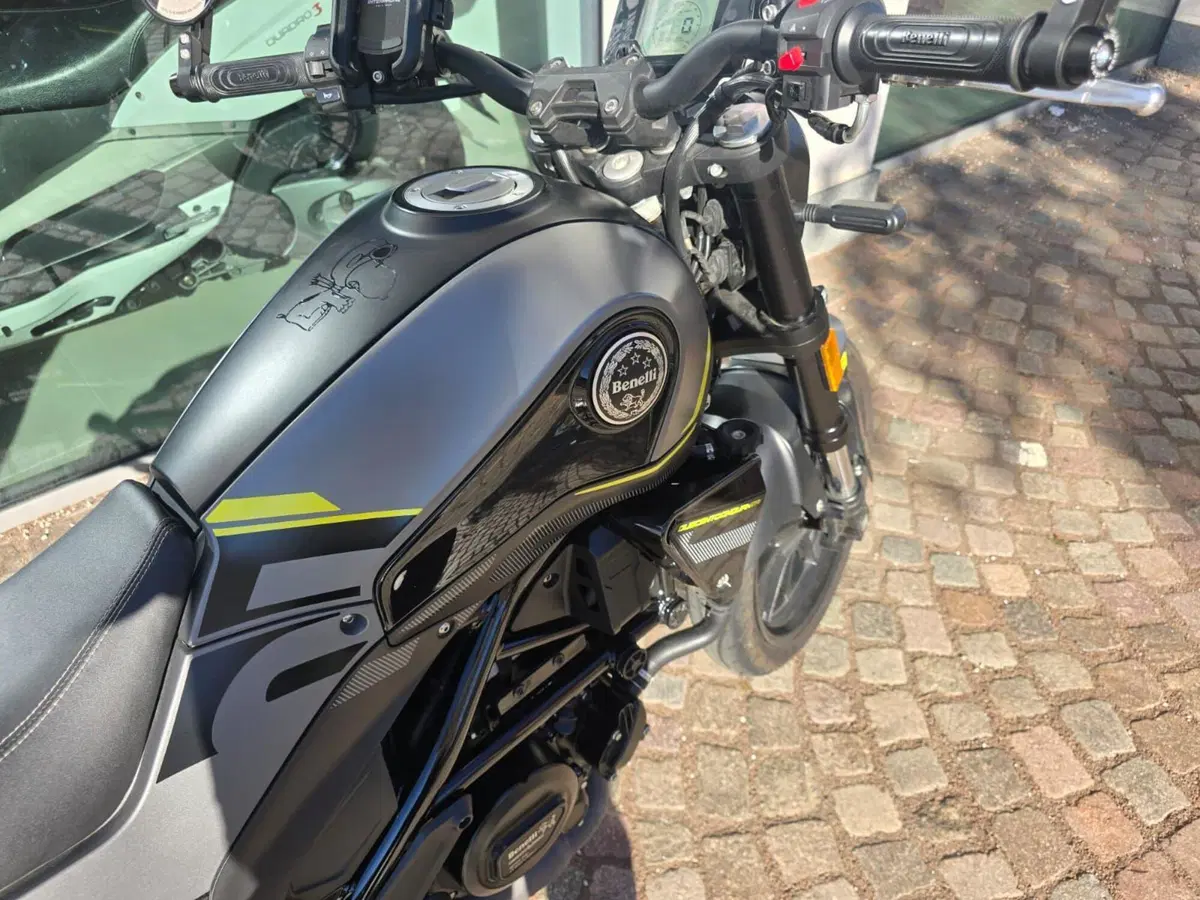 Benelli Leoncino 250 (2021 - 25) (9)