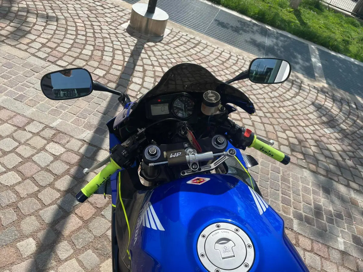 Honda CBR 900 RR Fireblade (2002 - 04) (6)