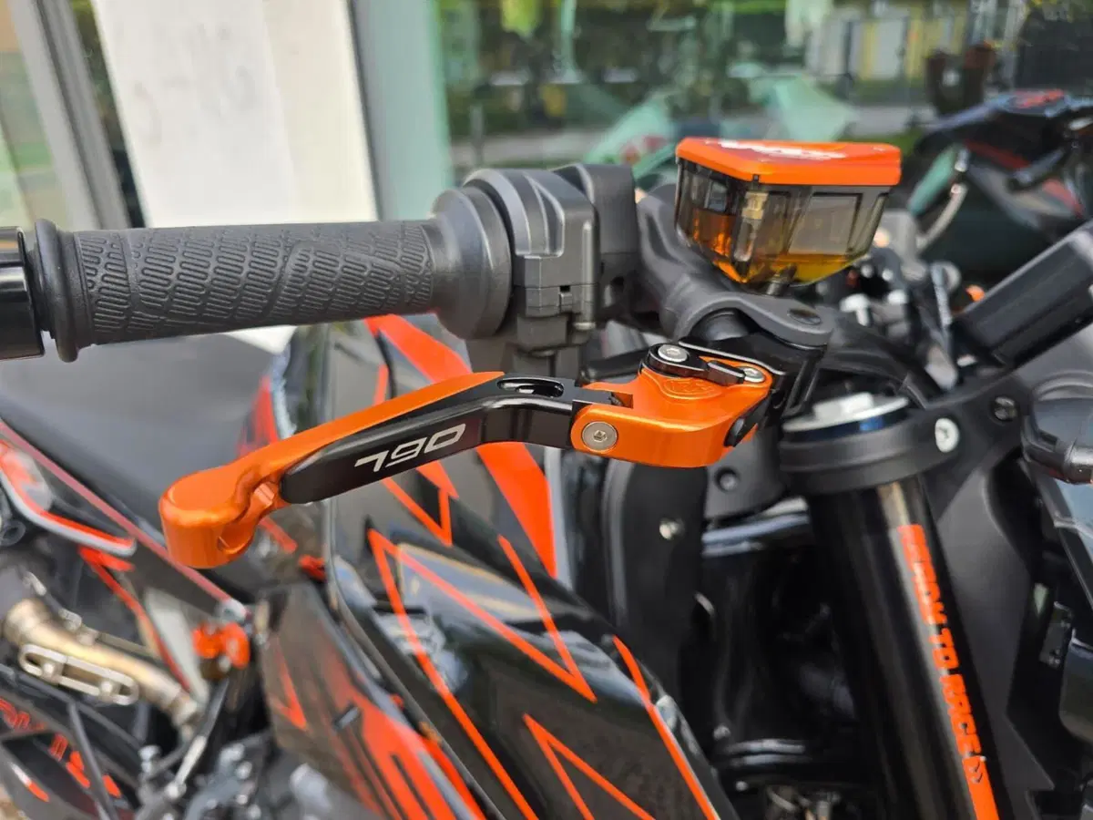KTM 790 Duke L (2019 - 20) (10)
