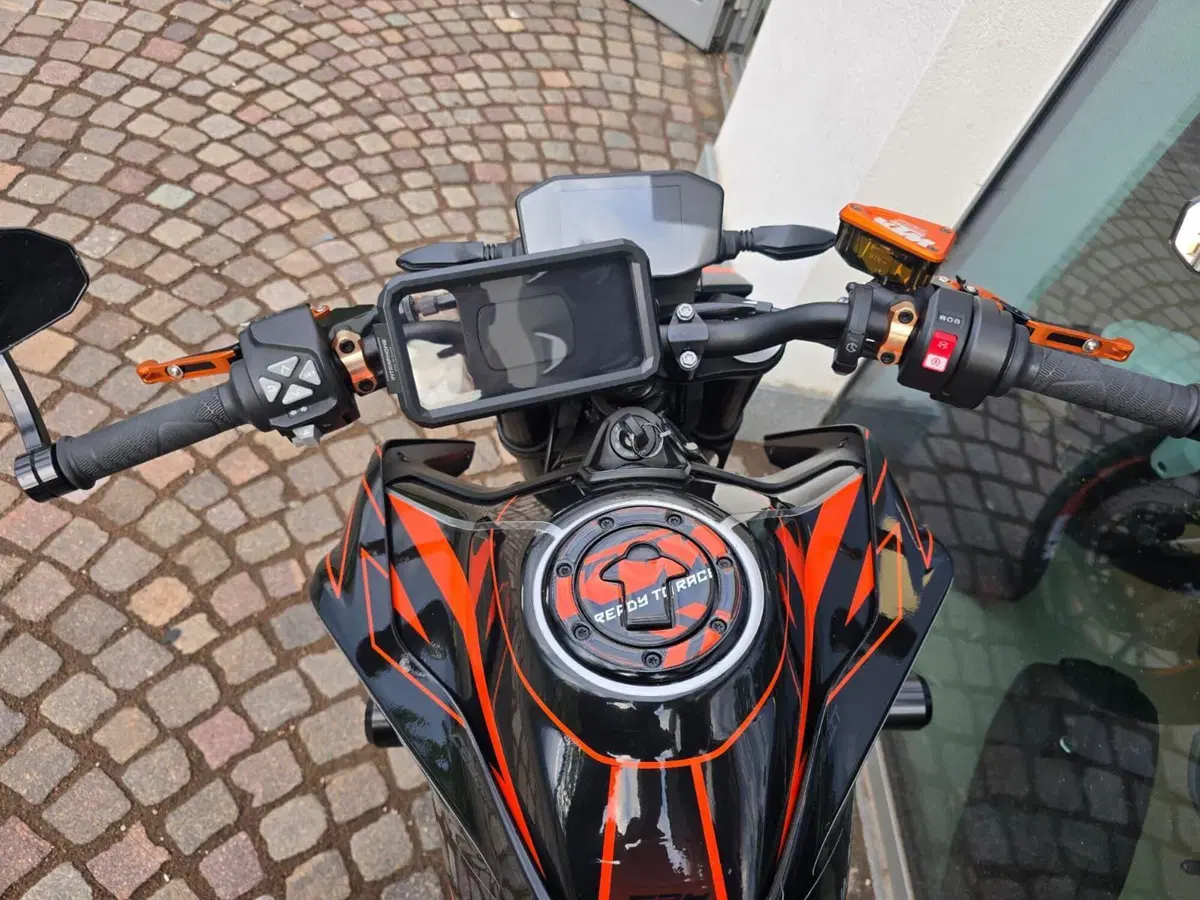 KTM 790 Duke L (2019 - 20) (15)
