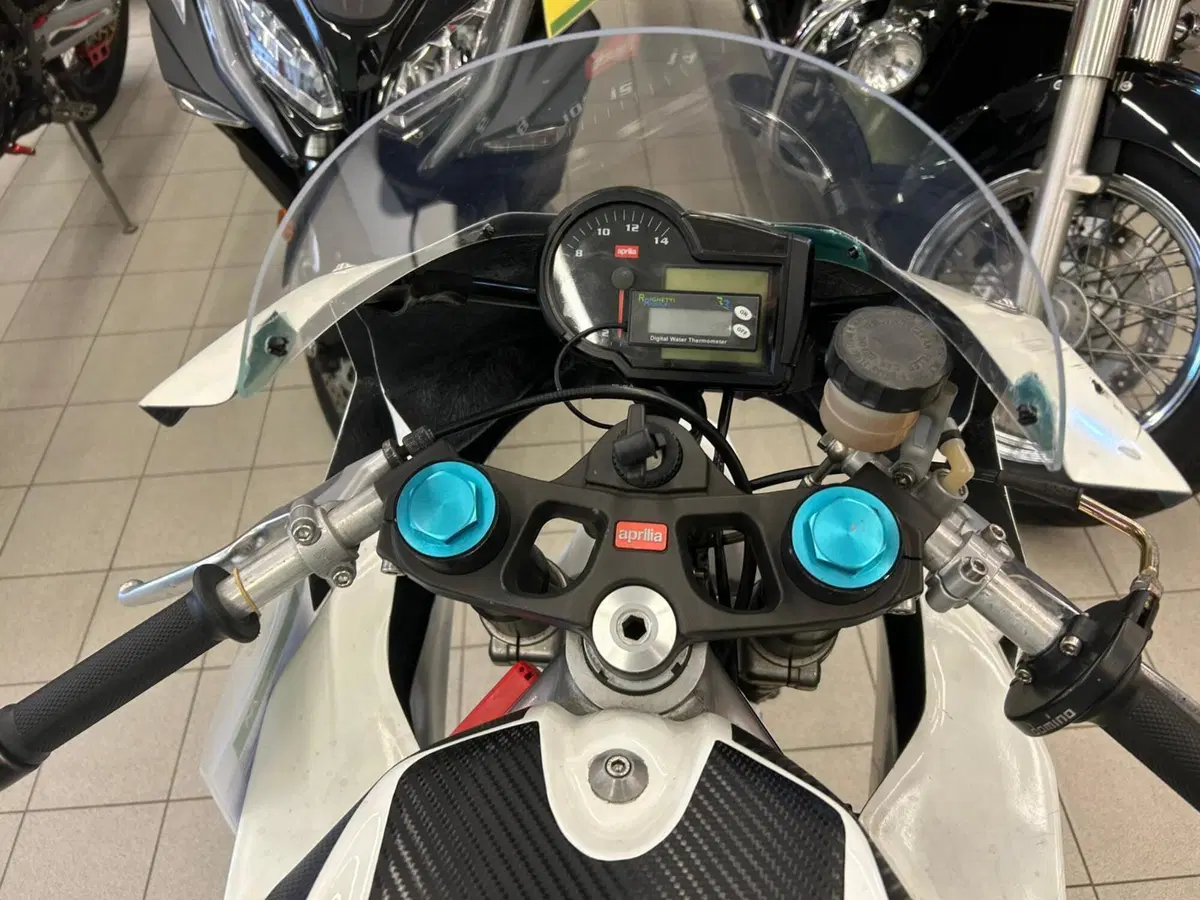 Aprilia RS 125 (2006 - 14) (10)